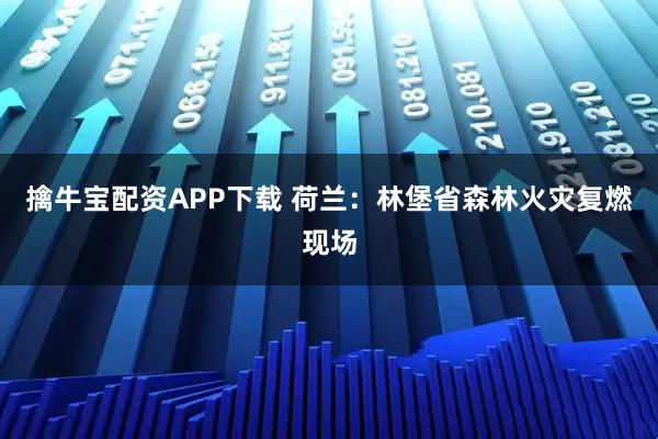 擒牛宝配资APP下载 荷兰：林堡省森林火灾复燃现场